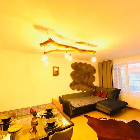 Hannovermesseapartment With Terrace *