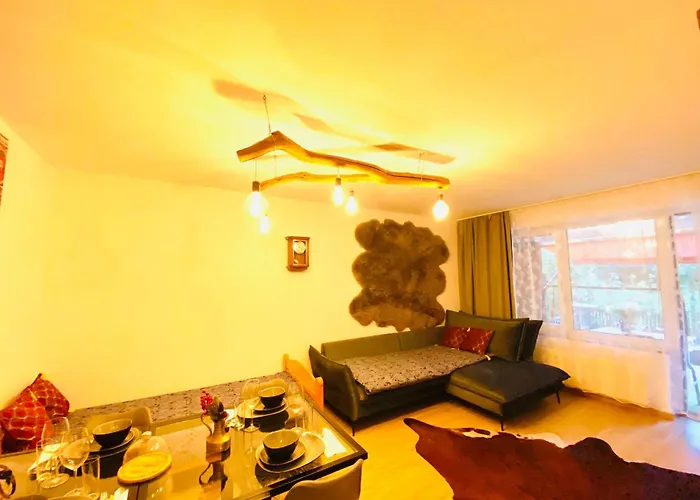 Hannovermesseapartment With Terrace *