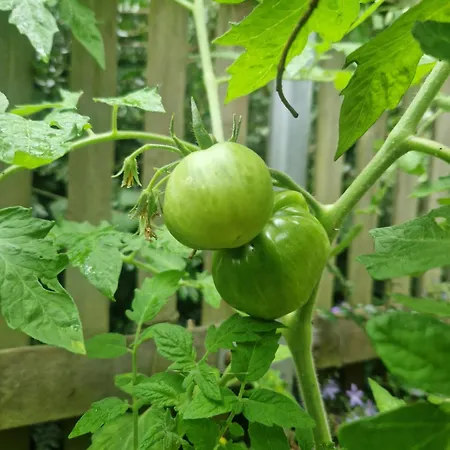 Appartamento Hannovermesseapartment With Terrace